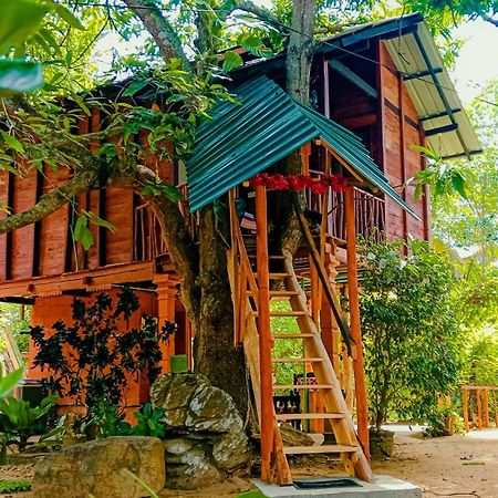Sigiri Sky Home & Treehouse Sigiriya Exterior foto
