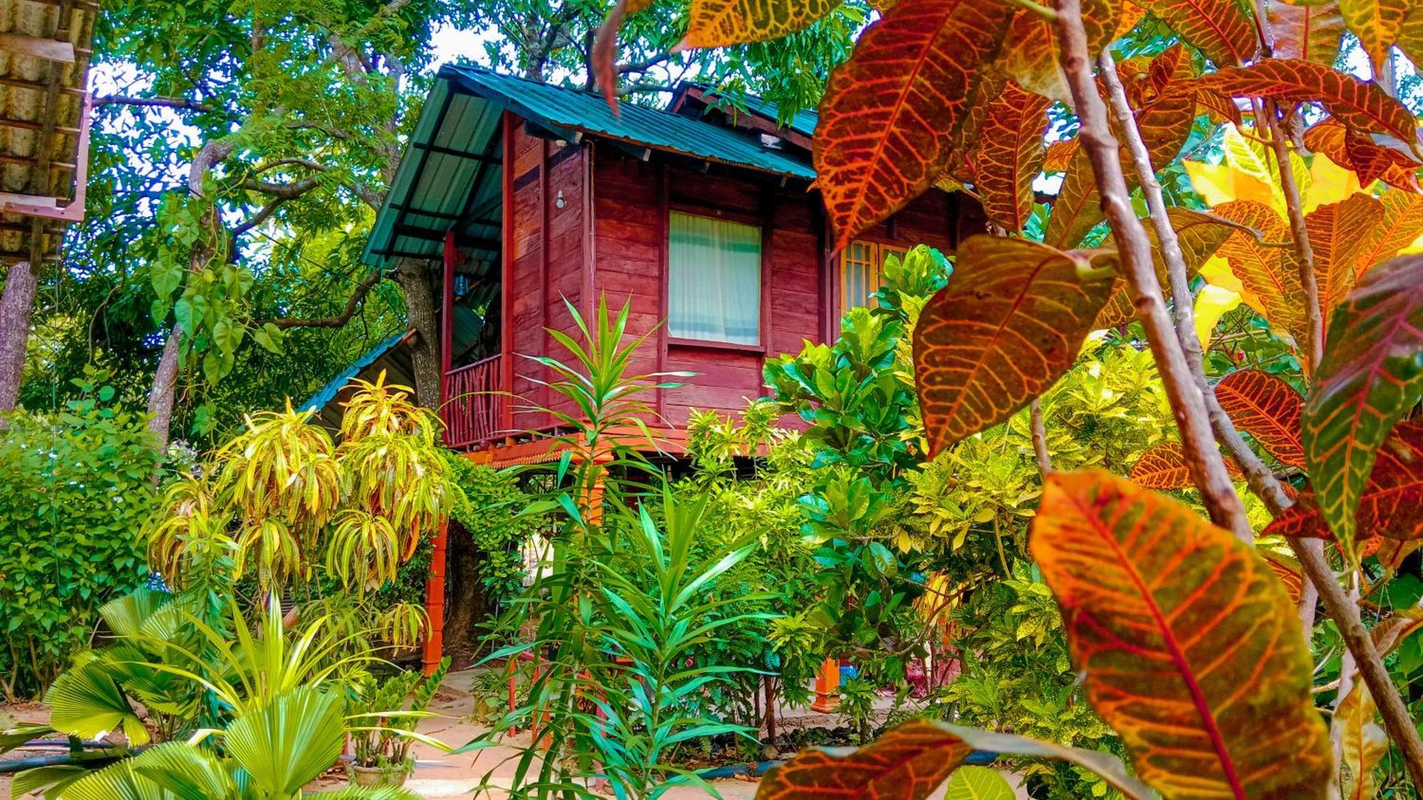 Sigiri Sky Home & Treehouse Sigiriya Exterior foto