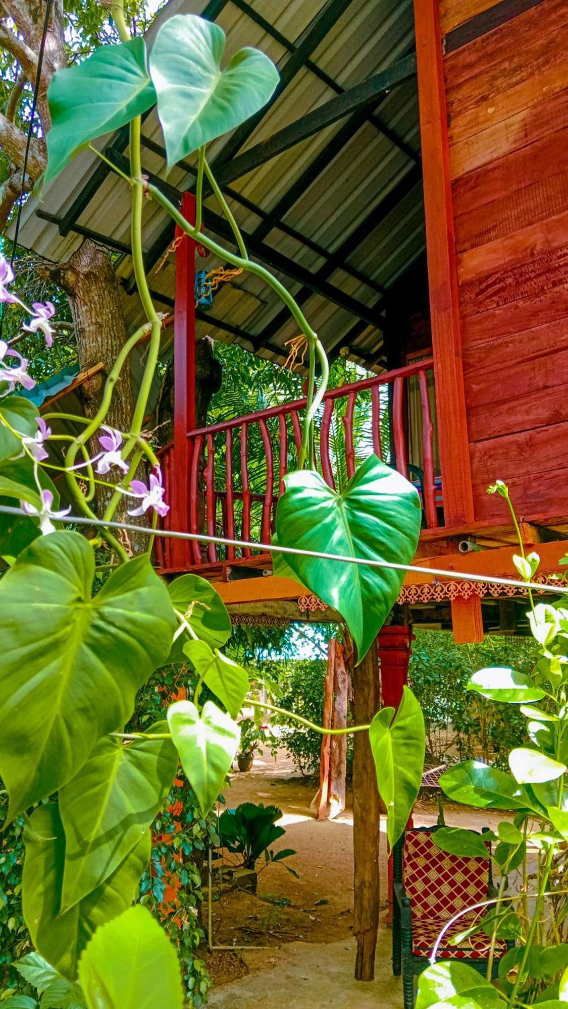 Sigiri Sky Home & Treehouse Sigiriya Exterior foto