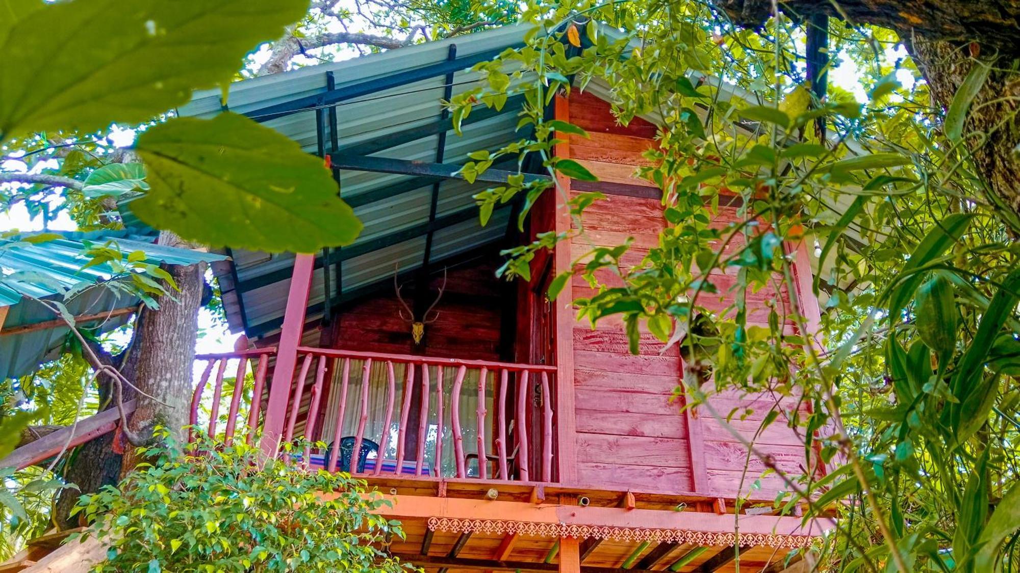 Sigiri Sky Home & Treehouse Sigiriya Exterior foto