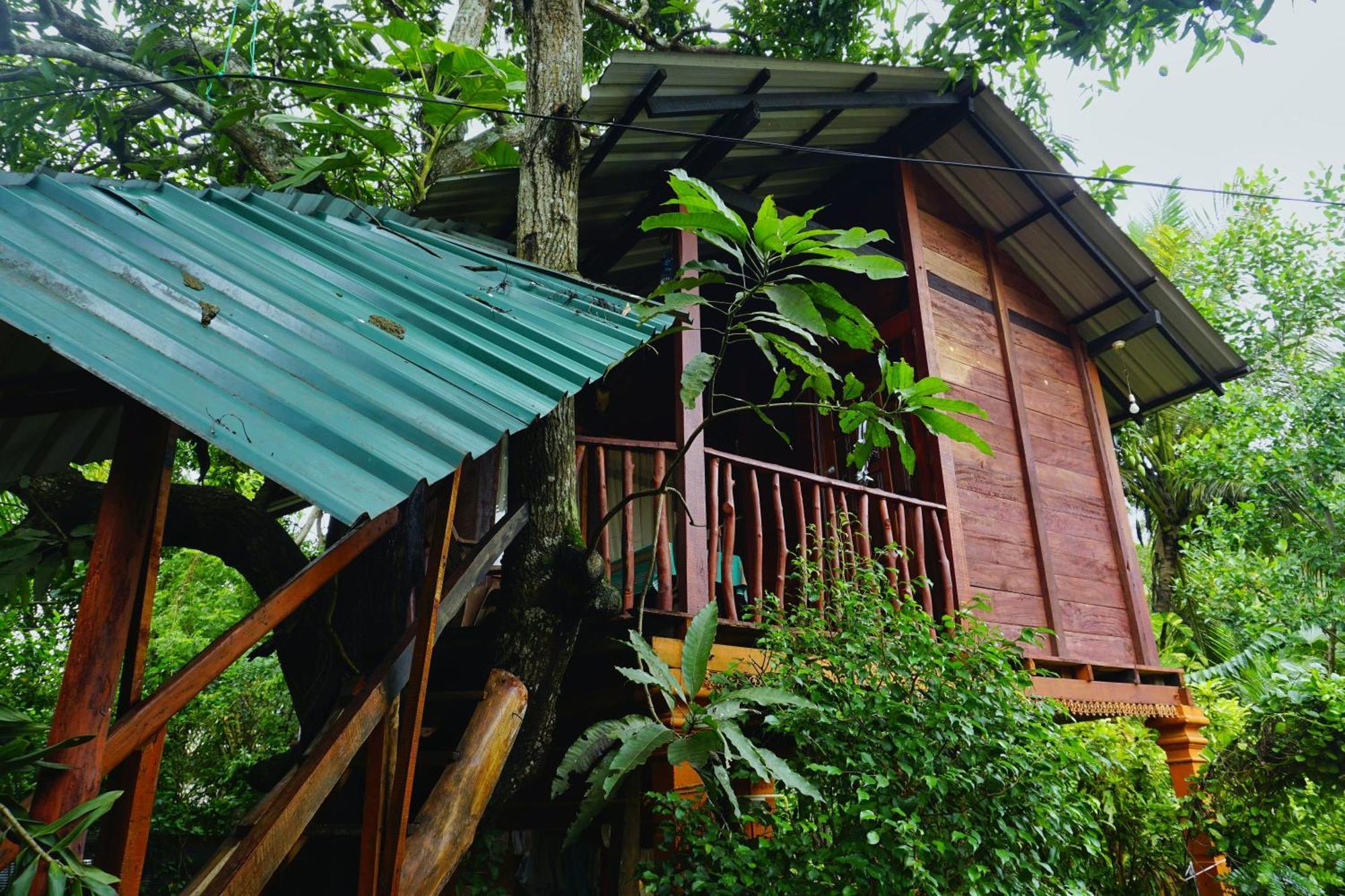Sigiri Sky Home & Treehouse Sigiriya Exterior foto