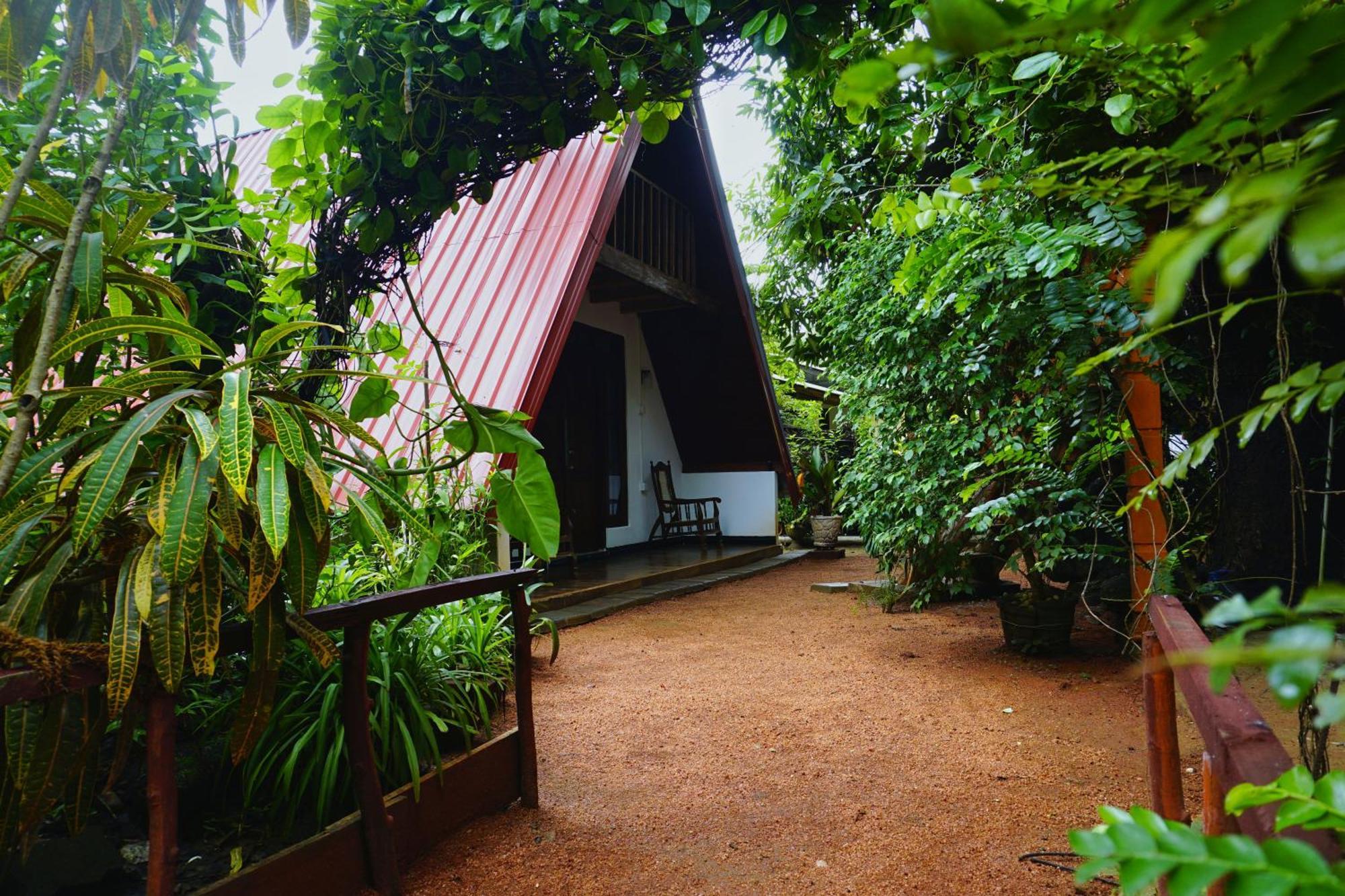 Sigiri Sky Home & Treehouse Sigiriya Exterior foto