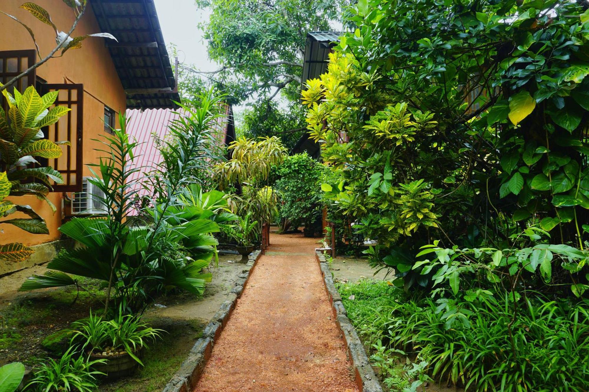 Sigiri Sky Home & Treehouse Sigiriya Exterior foto